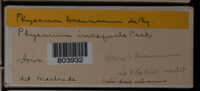 Image Associated With the Occurence